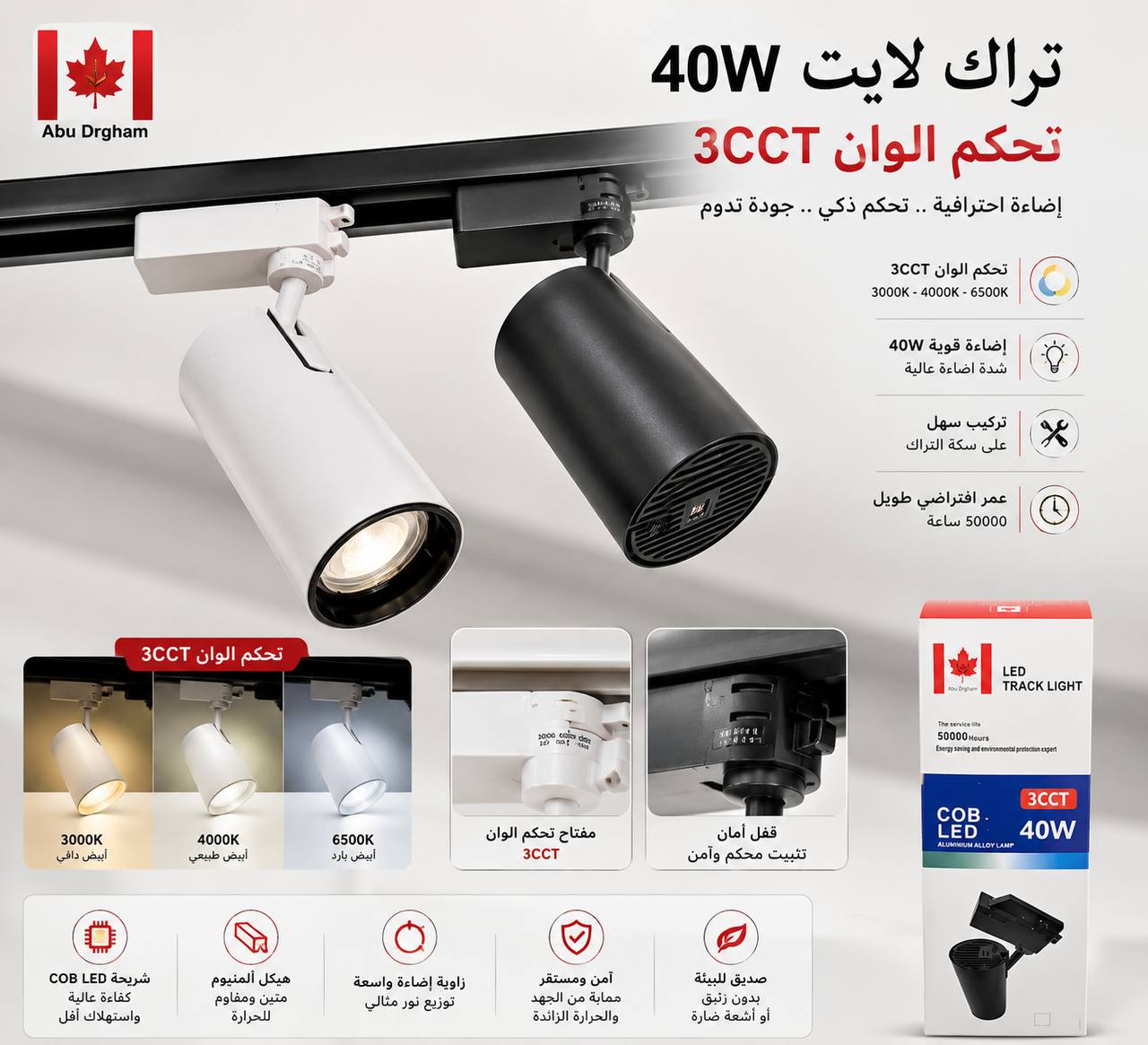 Electronic Protector 100A